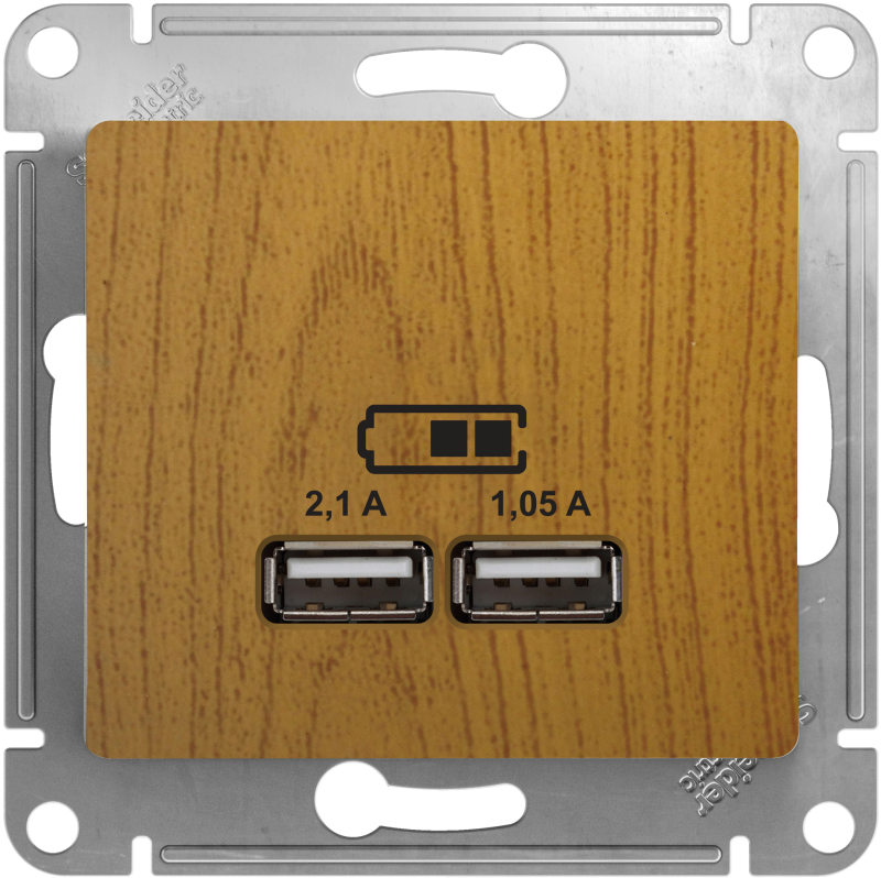   USB Schneider, USB-A x 2, 2.1A ( )